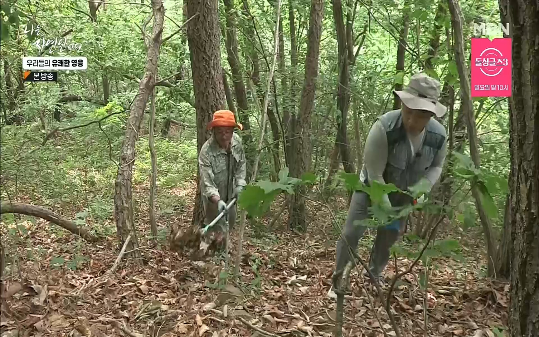 나는 자연인이다.E508.220629p.H264-F1RST.mp4_20220630_203357.072.jpg