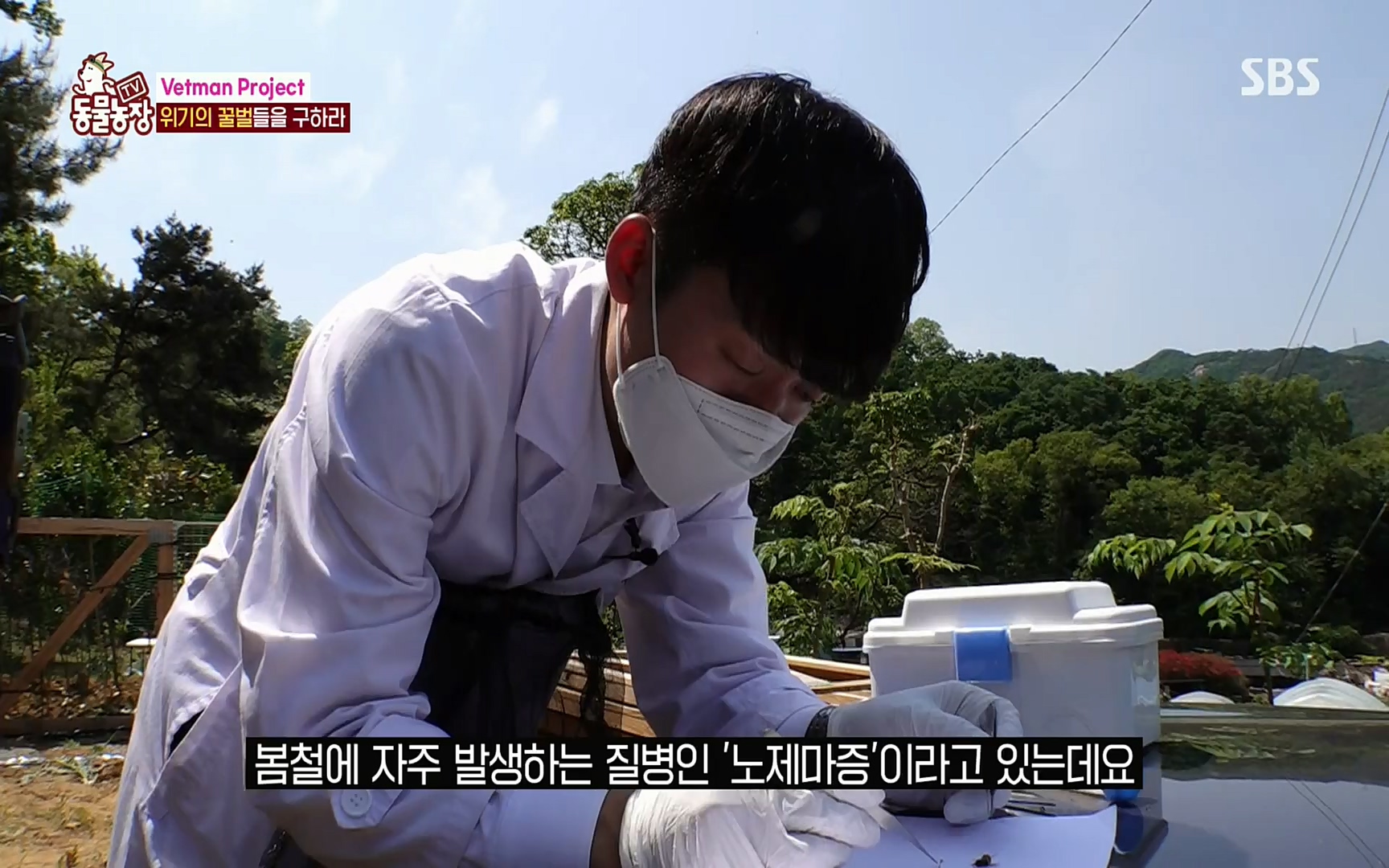 TV 동물농장.E1072.220605p.H264-F1RST.mp4_20220605_181447.480.jpg