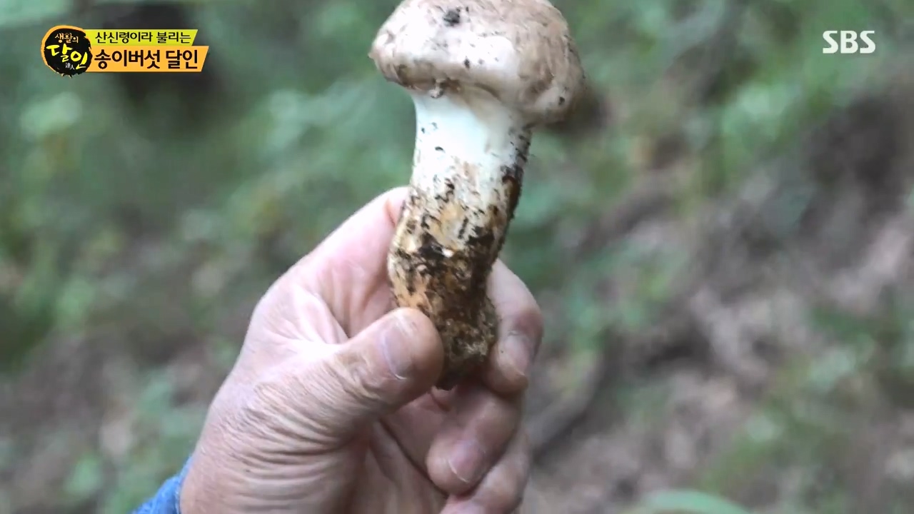 생활의 달인.E907.231010p-NEXT.mp4_20231010_202759.439.jpg