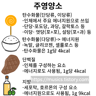 주영양소. 탄수화물&#44; 단백질&#44; 지방