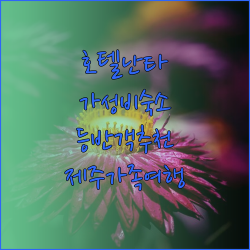 가성비 제주 여행 호텔난타 어때요 한