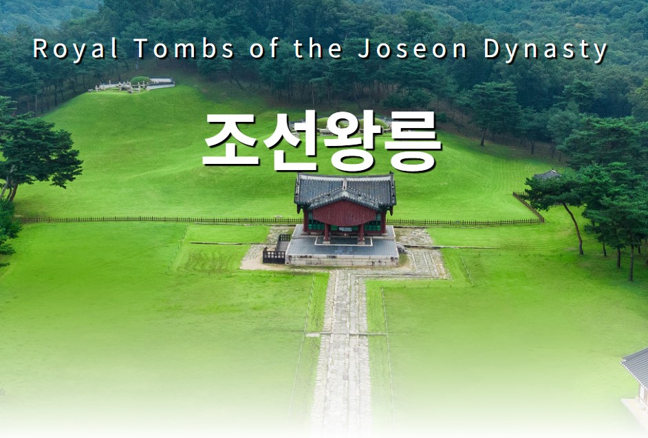 탐미 이미지