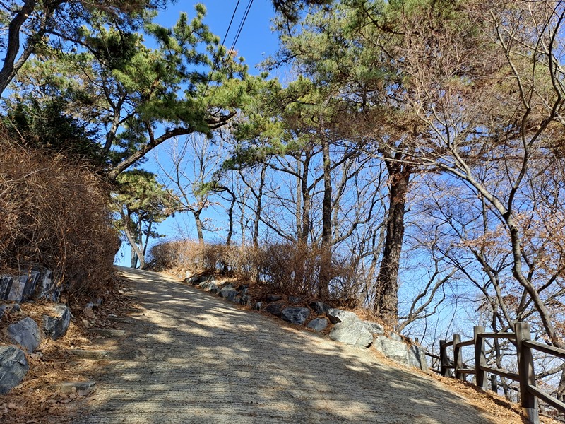 궁산-언덕길