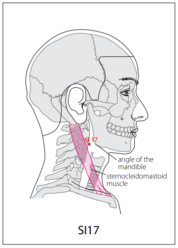 수태양소장경(SI) > SI17 천용 (天容) 1