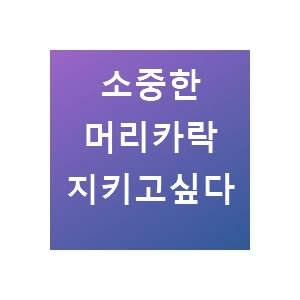 머리카락이 많아지는 방법! 탈모! 미리 예방하자.