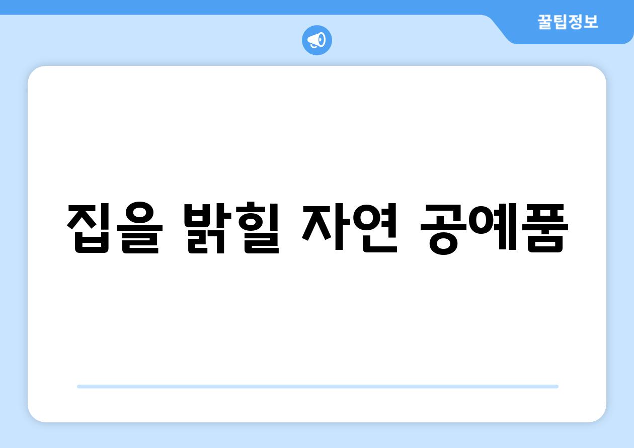 집을 밝힐 자연 공예품