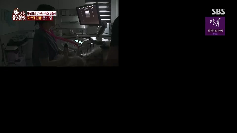 TV 동물농장.E1124.230611p.H264-F1RST.mp4_20230611_173540.502.jpg