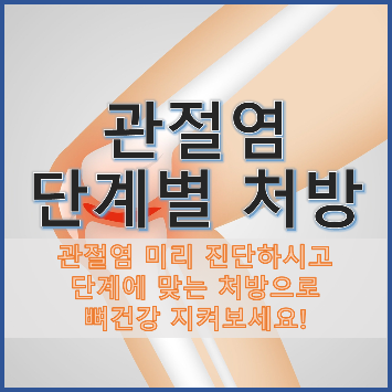 관절염 예방을 위해 미리 콘드로이틴을 섭취하자.
