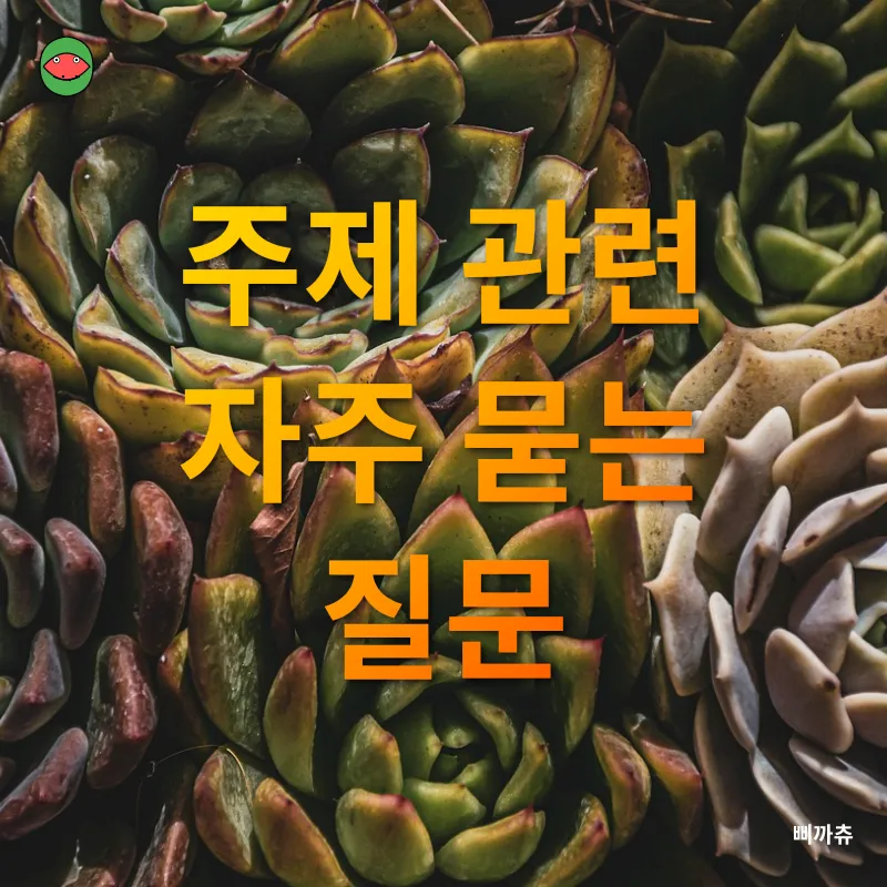 선인장 식물원_4