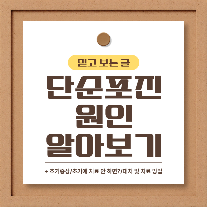 단순 포진 원인