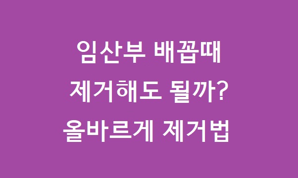 임산부 배꼽때