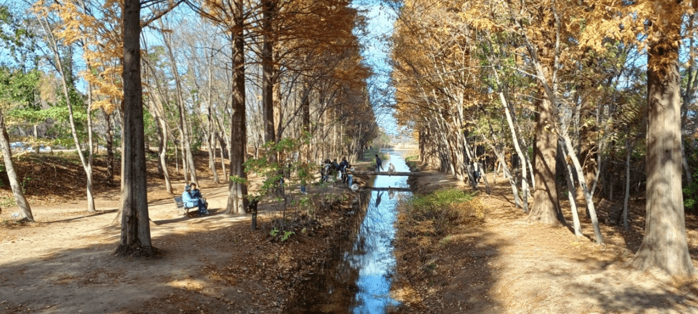 천년숲정원