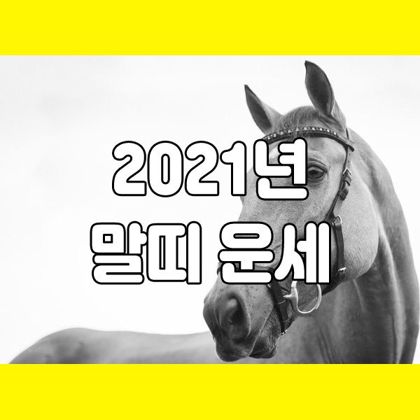  2021년 신축년 말띠 운세 사주