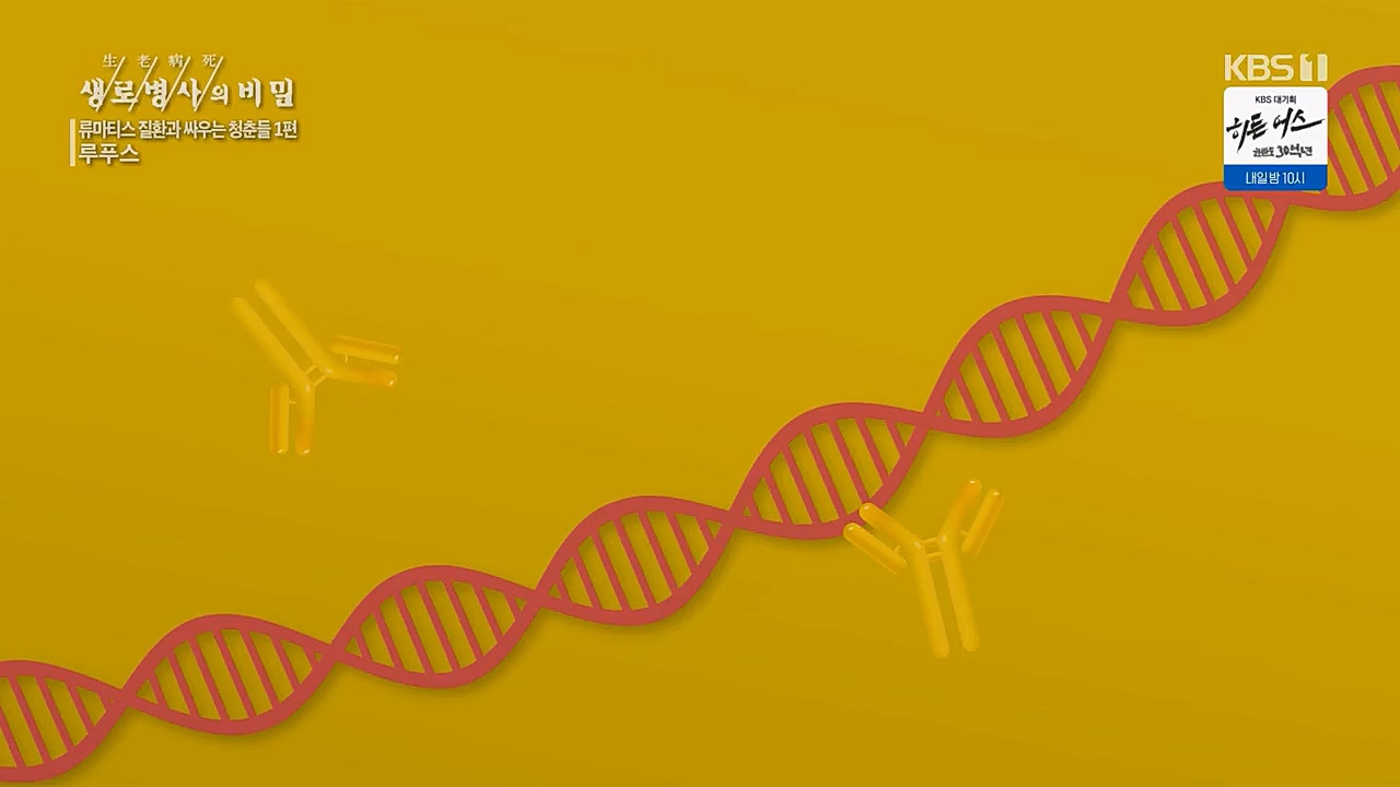 생로병사의 비밀.E860.230316p.H264-F1RST.mp4_20230316_220926.668.jpg