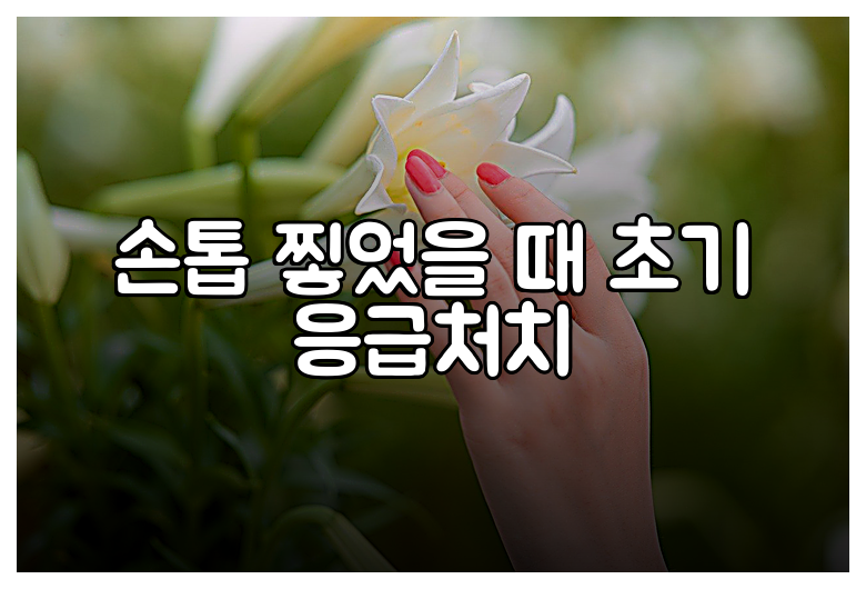 손톱 찧었을 때 초기 응급처치