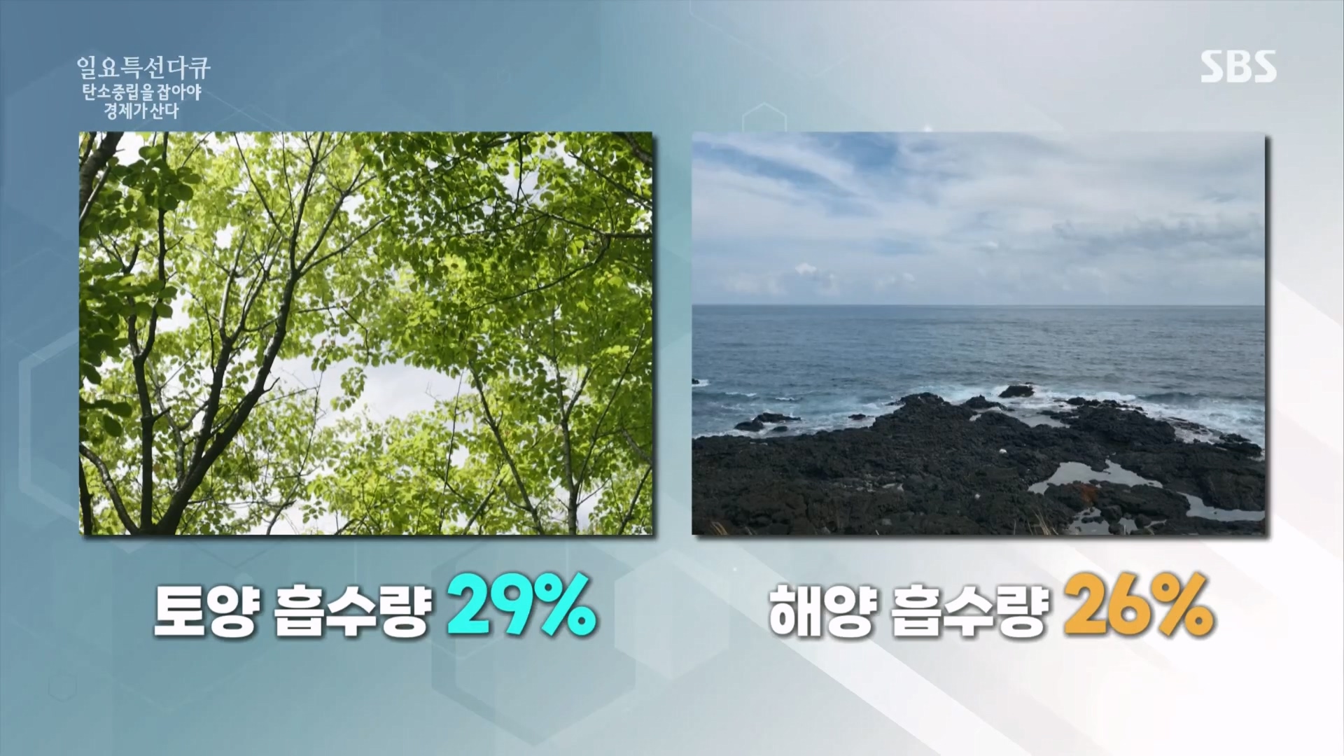 일요 특선 다큐멘터리.E320.230917p.H264-F1RST.mp4_20230925_202243.051.jpg