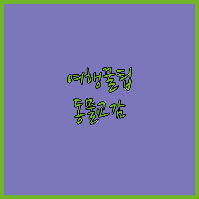 20대 여성 필독! 여행지에서 동물과