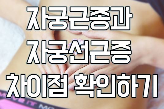  자궁근종과 자궁선근증 뭐가 다를까?