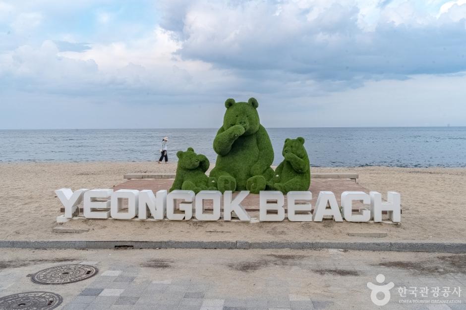  서울에서 강릉까지 KTX 당일치기!동해바다 벚꽃 여행 코스