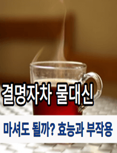  결명자차 물대신 마셔도될까? 효능과 부작용 한눈에 알아보기