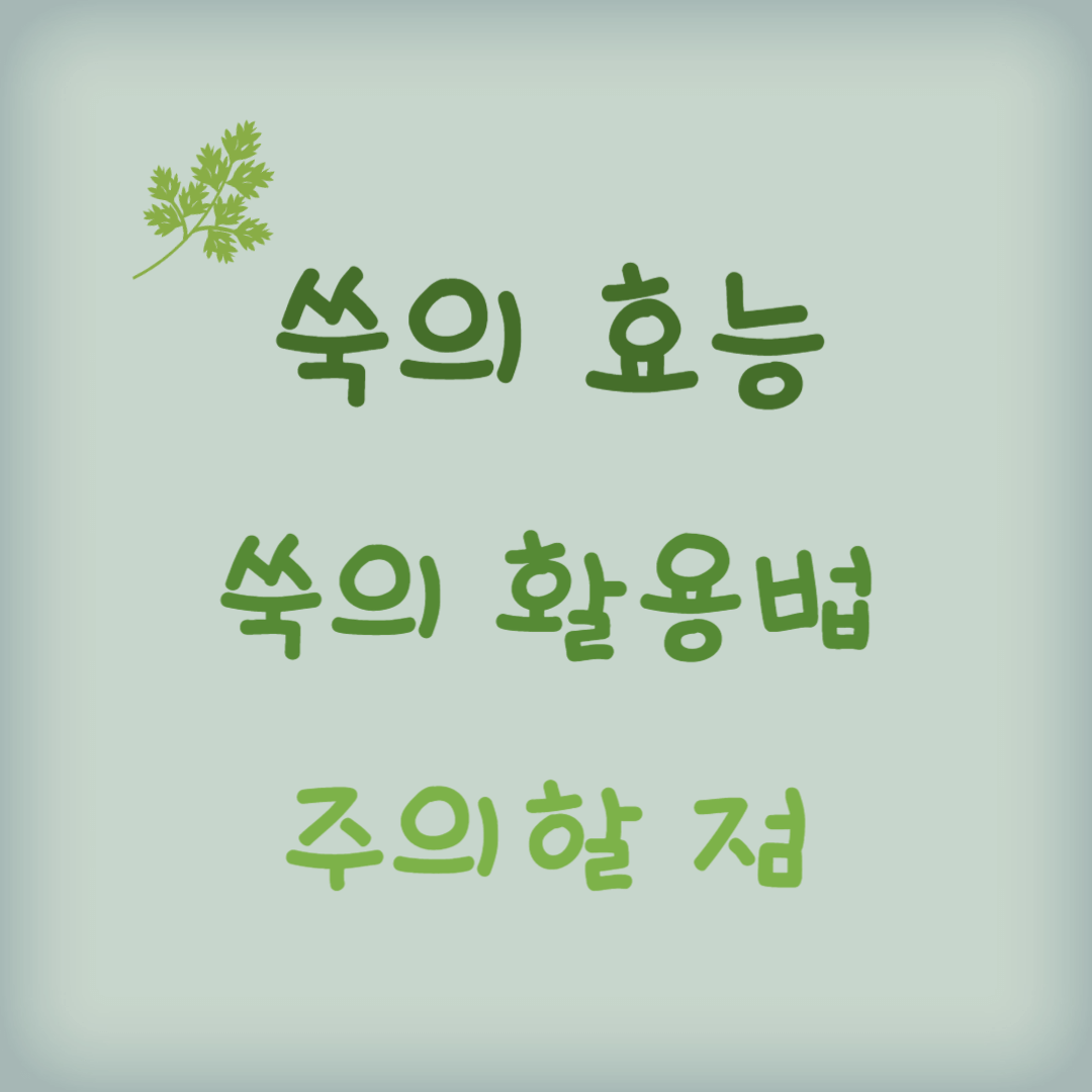 쑥의-효능-활용법