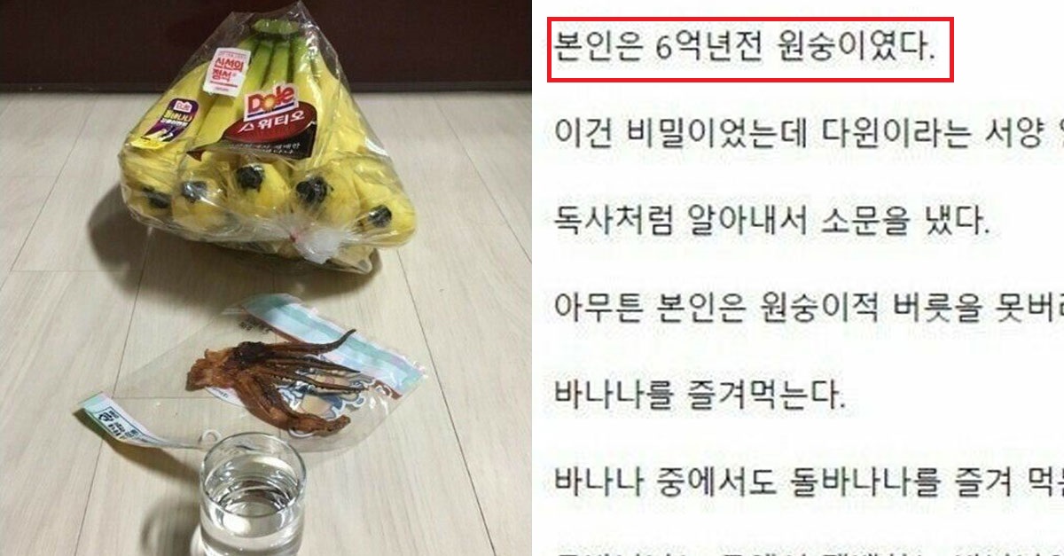  본인 스스로 "6억년 전 원숭이"였다고 주장하는 사람 근황ㅋㅋㅋㅋㅋ