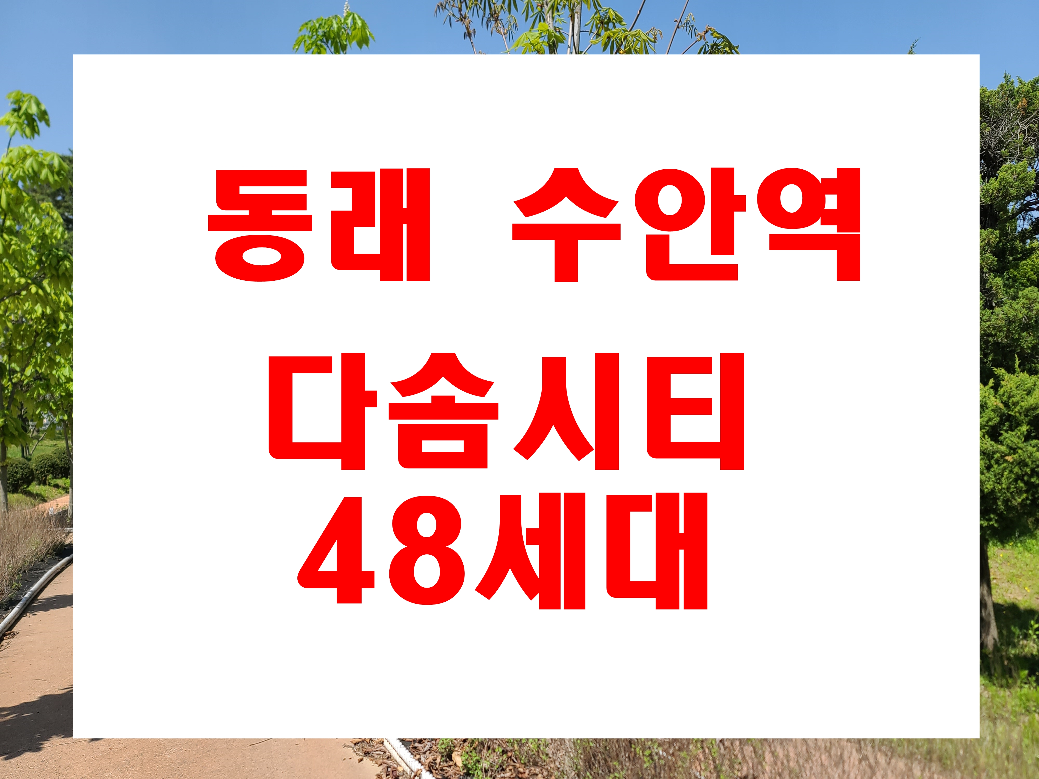  수안동 다솜시티 분양 수안역 동래농협 맞은편 아파트 매매 정보