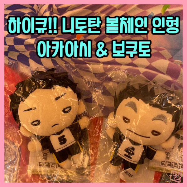  [하이큐!!] 니토탄 볼체인 인형 아카아시&보쿠토