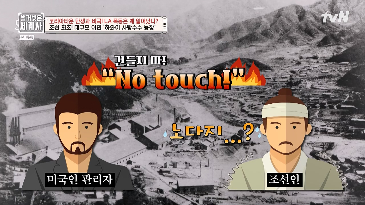 벌거벗은 세계사.E127.231129p-NEXT.mp4_20240608_163152.579.jpg