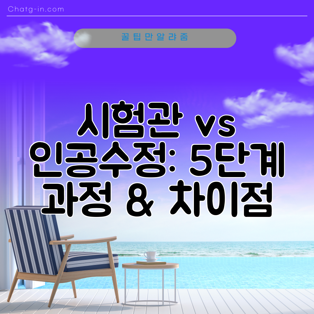 시험관 vs 인공수정 5단계 과정 &amp; 차이점
