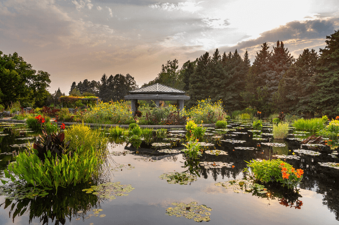 덴버 식물원 Denver Botanic Gardens