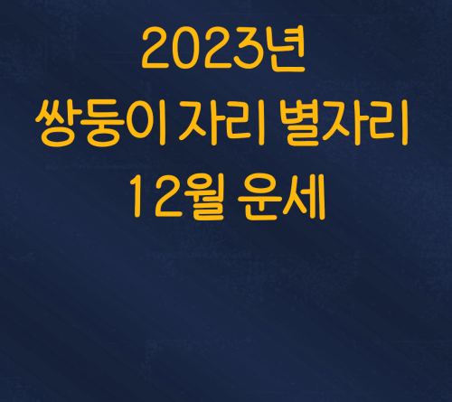  2023년 12월 쌍둥이 자리 별자리 운세