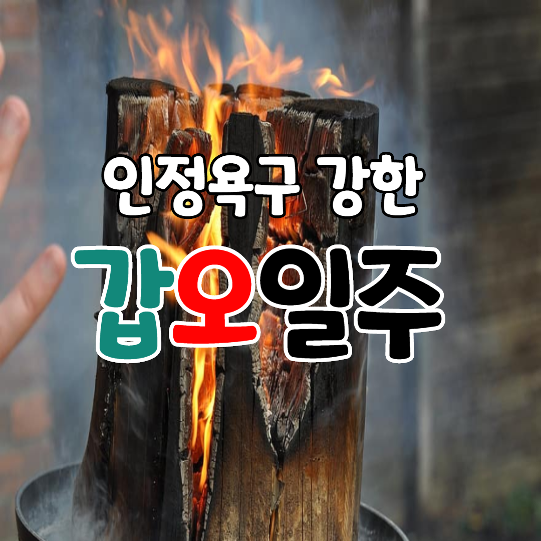  31. 인정욕구 강한 갑오일주