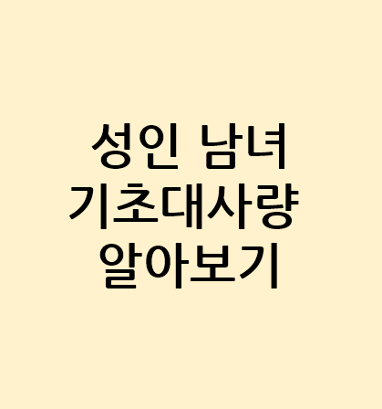  성인 여자 기초대사량 모든 것 남자 포함해서 알아볼게요