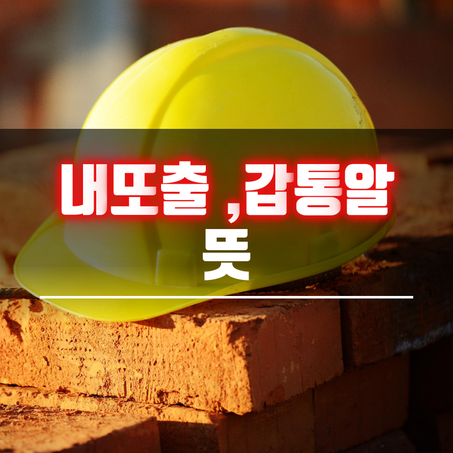  내또출 갑통알 뜻 아시나요? 당신은?