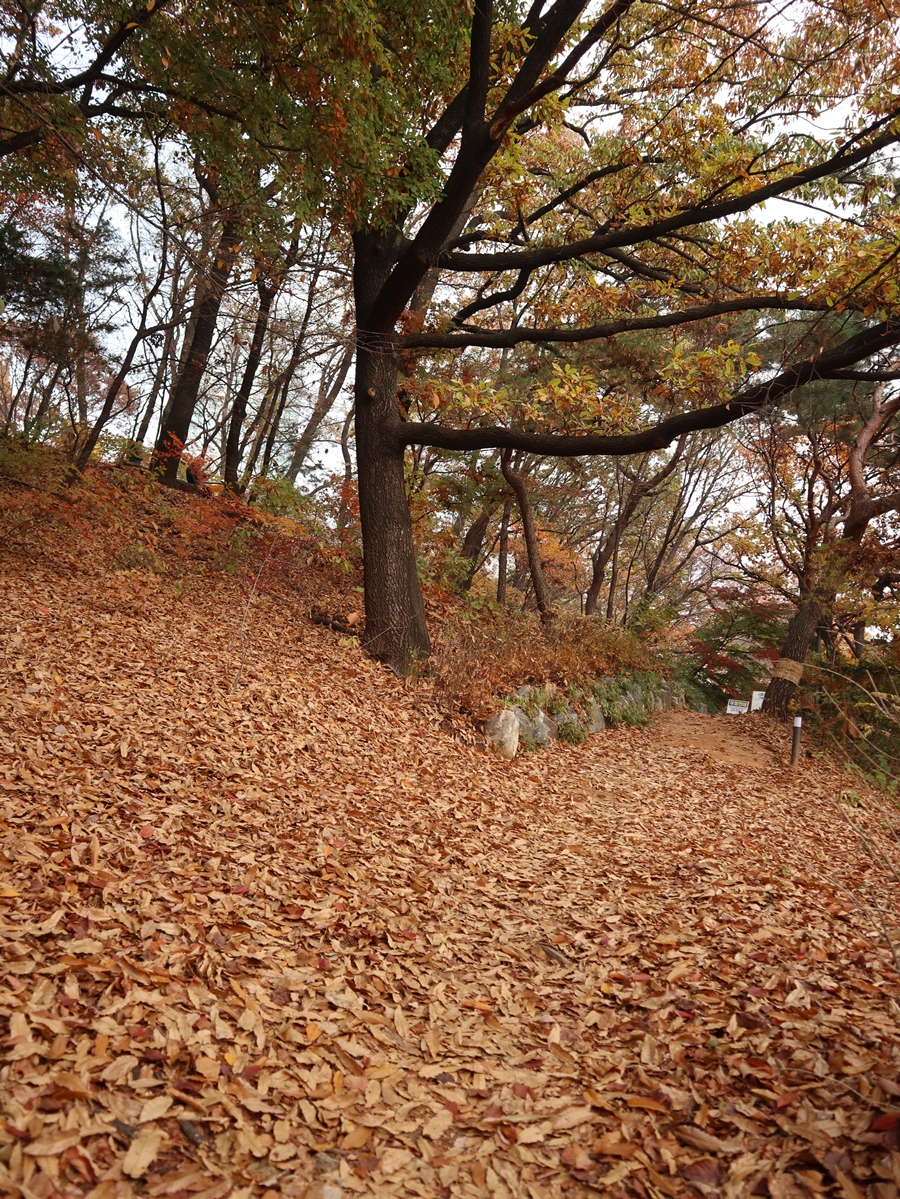 명상길_07