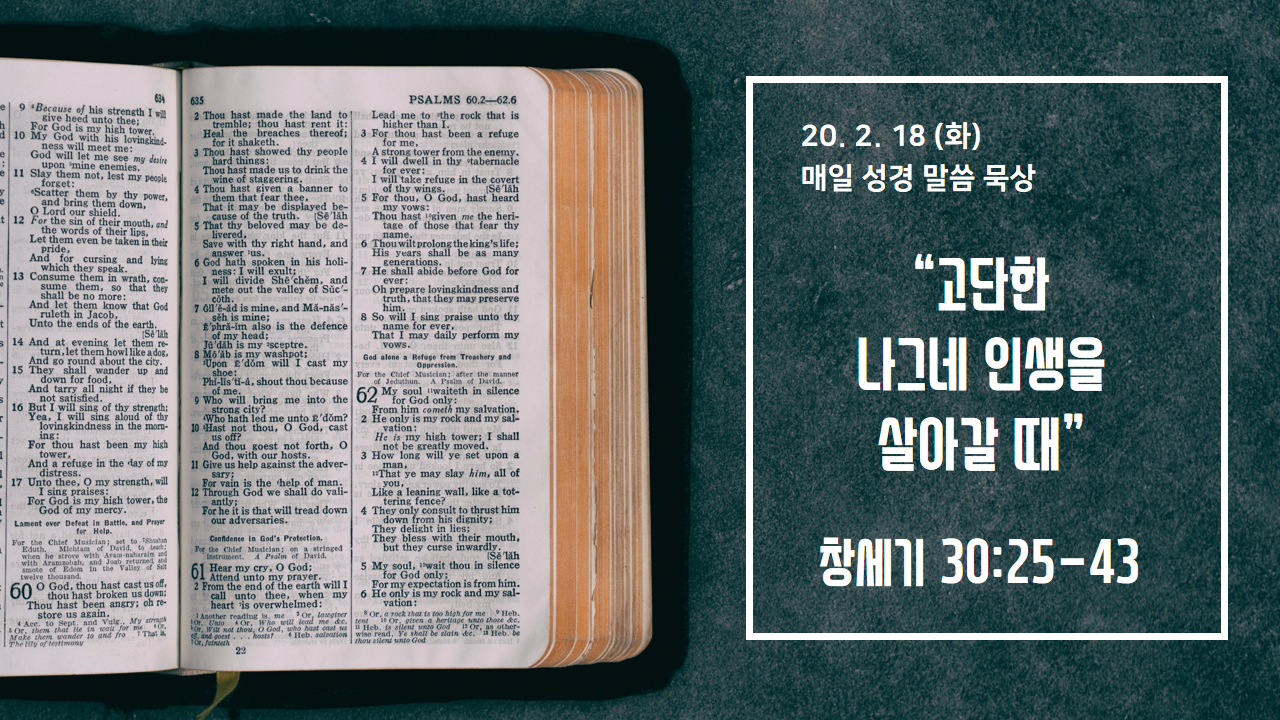  [매일 성경 묵상] 창세기 30장 25-43절