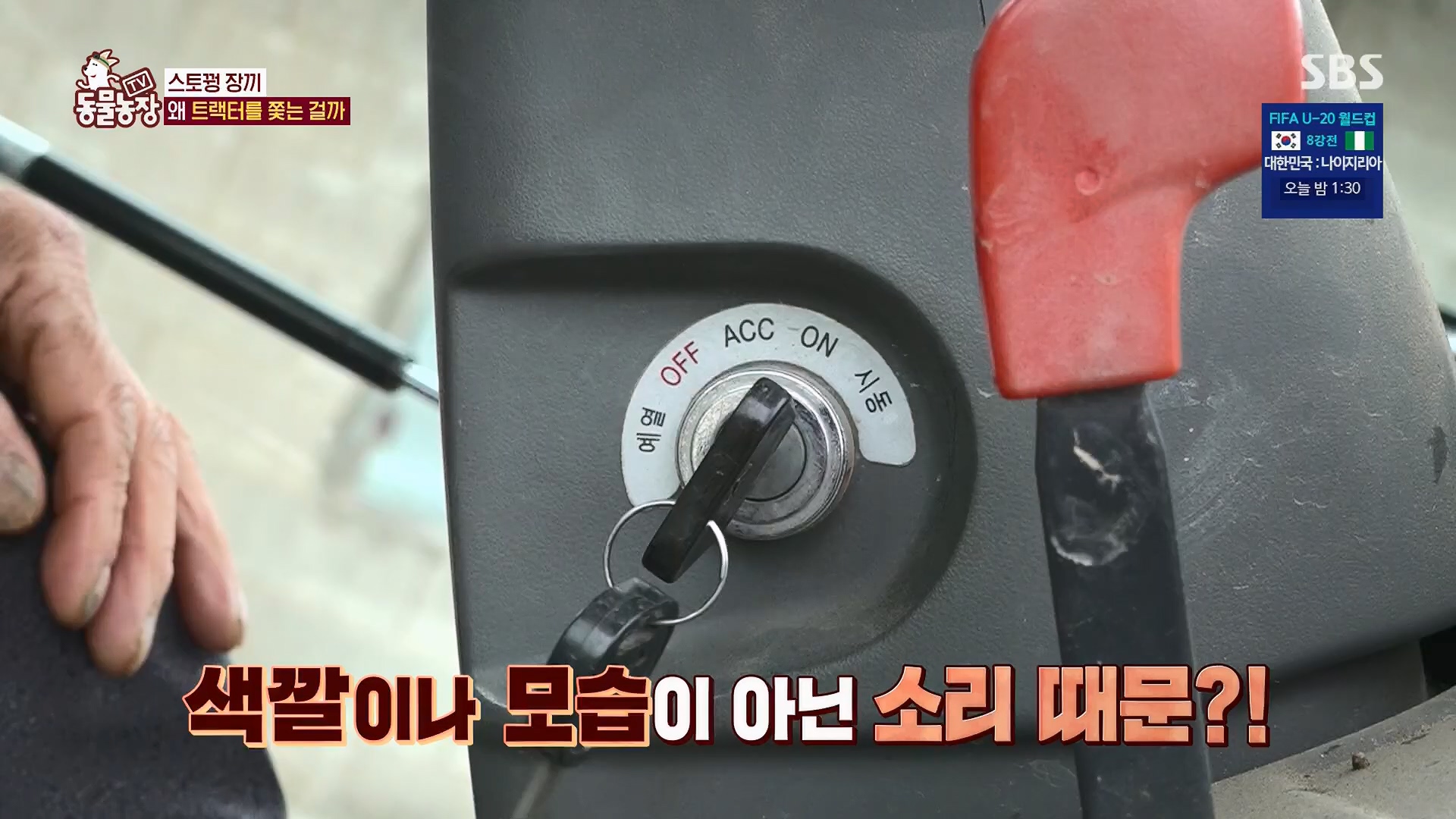 TV 동물농장.E1123.230604p.H264-F1RST.mp4_20230604_173304.292.jpg