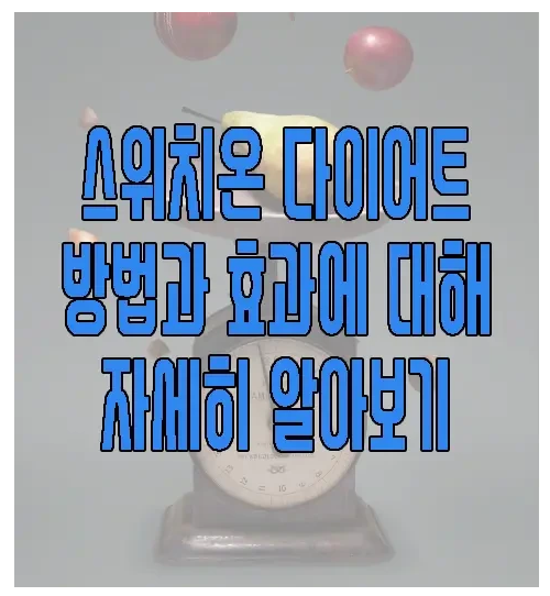 스위치온 다이어트에 관한 글 보러 가기 링크 사진