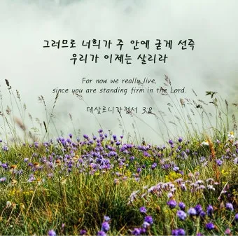 데살로니가전서 5장 16절 성경말씀 - 항상 기뻐하라 쉬지 말고 기도하라 범사에 감사하라_17