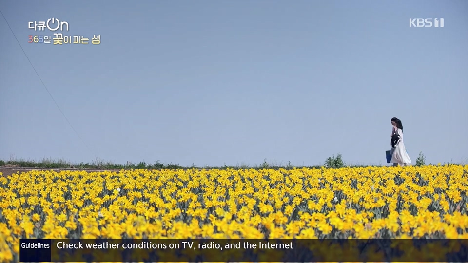 다큐 On.E201.230610p.H264-F1RST.mp4_20230611_165933.240.jpg