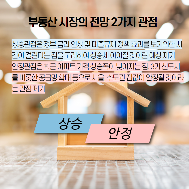 부동산 중개수수료, 부동산 중개수수료 인하