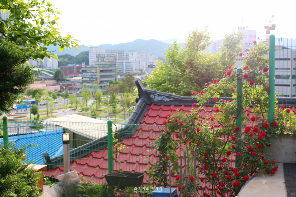 춘천 게스트 하우스 춘천게스트하우스 춘심, 24