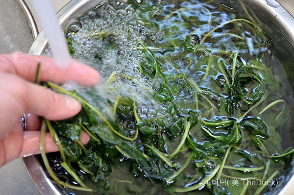 건취나물 세척