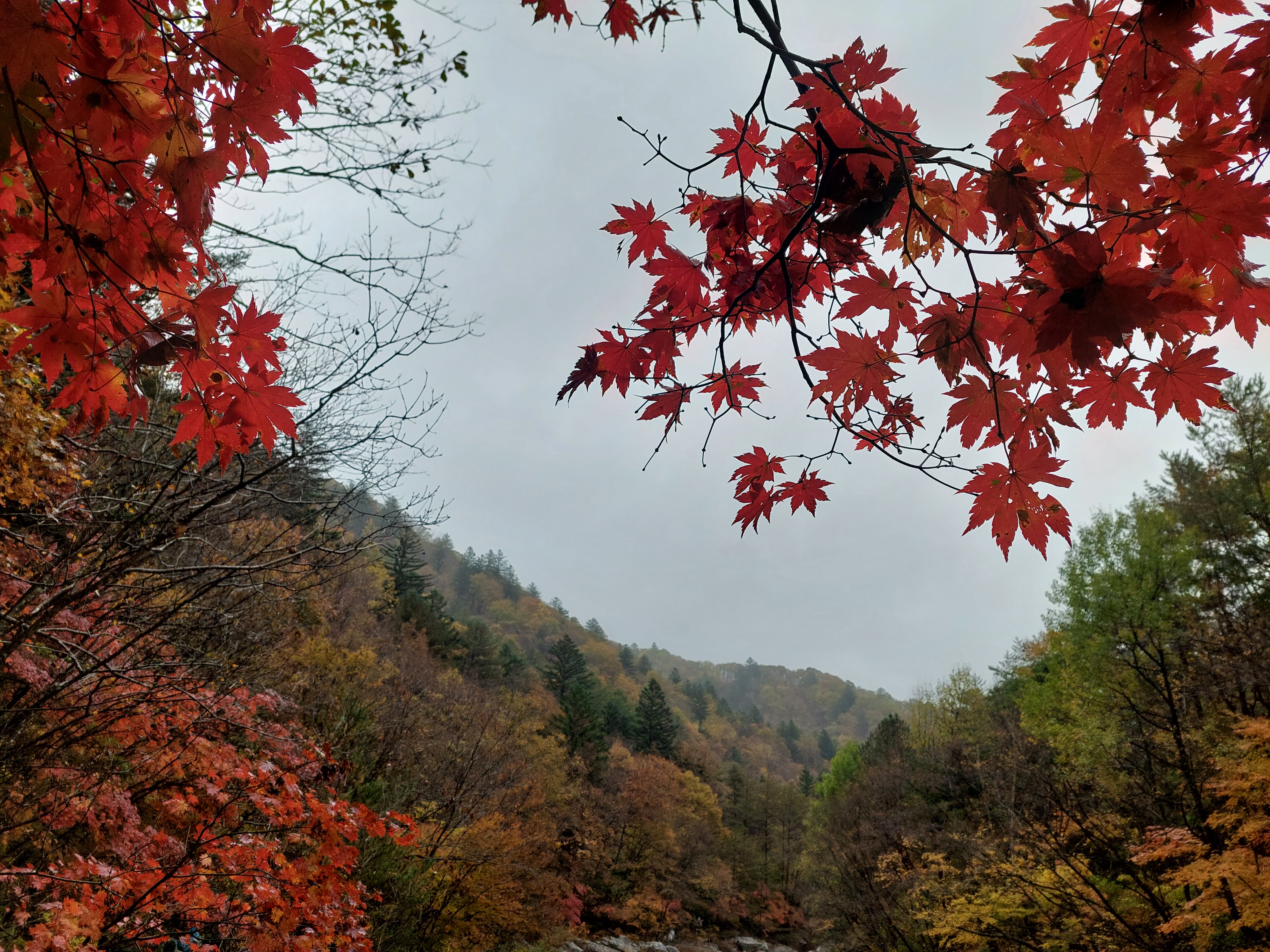 선재길