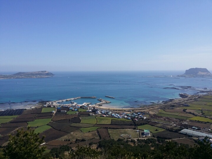  《사진 산책》멀리서 보면 다 좋아 보입니다.