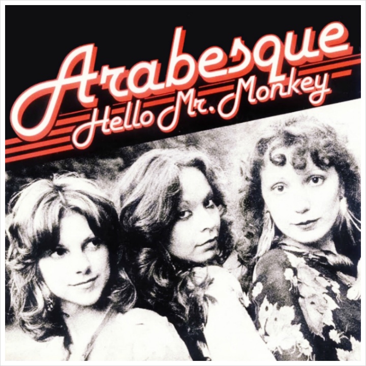  Arabesque (아라베스크) - Hello Mr. Monkey (헬로 미스터 몽키) [가사/해석/듣기/서울 라이브 (1981)]
