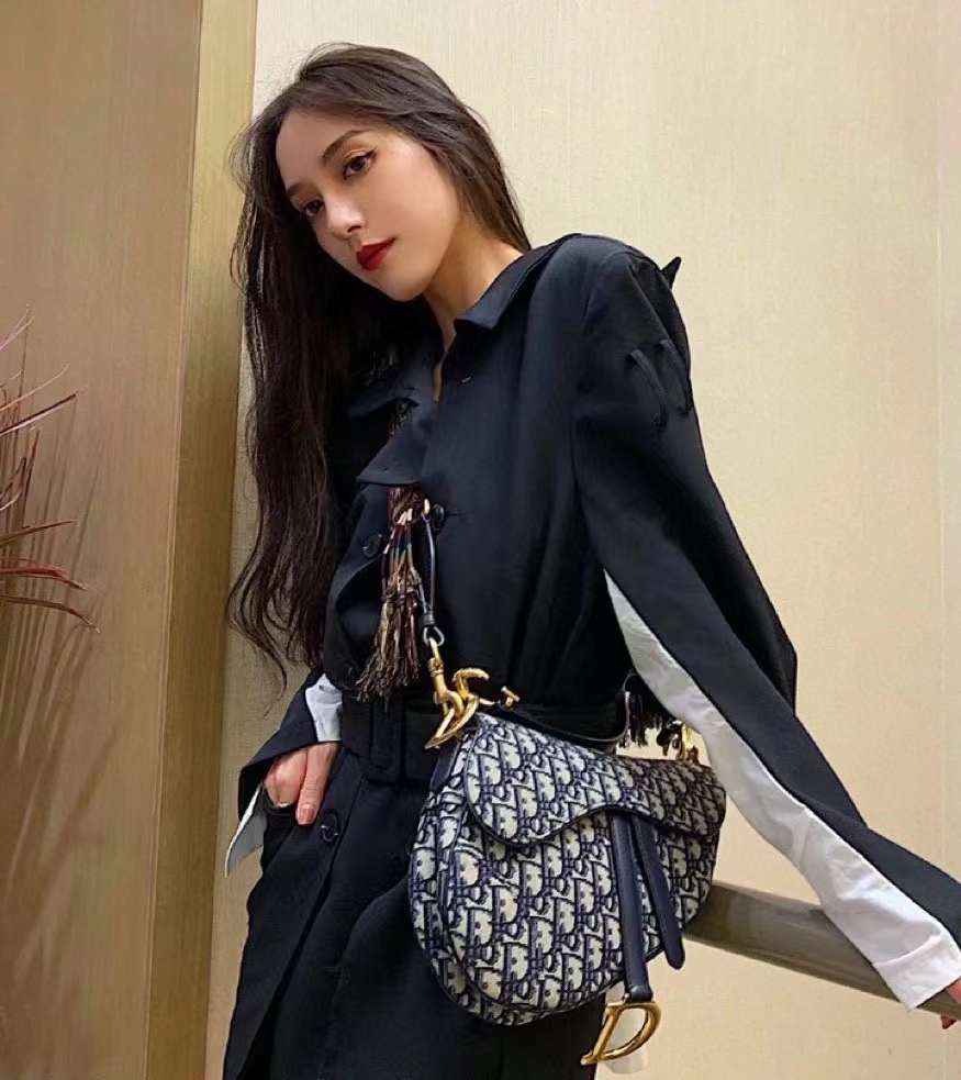  디올 오블리크 새들 미디엄 백 찾으시나요?