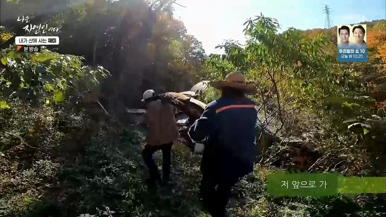 나는 자연인이다.E529.221124p.H264-F1RST.mp4_20221124_194717.695.jpg