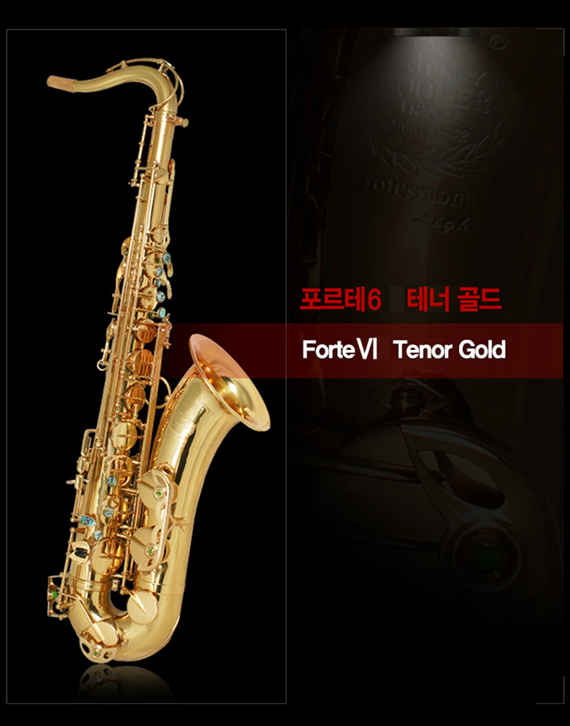 포르테6 골드 테너색소폰